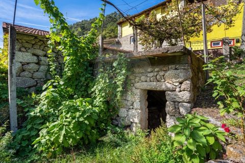 Villa i Celorico de Basto, Braga, Celorico de Basto - € 550.000 | Ref: 126971021-41 - foto 4