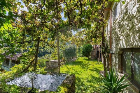Villa i Celorico de Basto, Braga, Celorico de Basto - € 550.000 | Ref: 126971021-41 - foto 5
