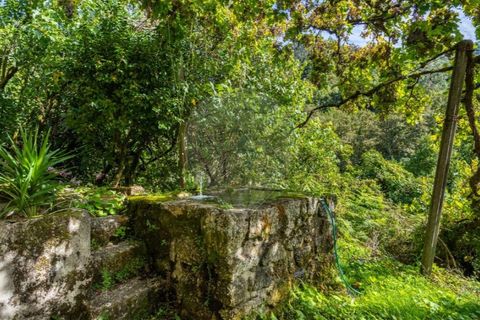 Villa i Celorico de Basto, Braga, Celorico de Basto - € 550.000 | Ref: 126971021-41 - foto 6