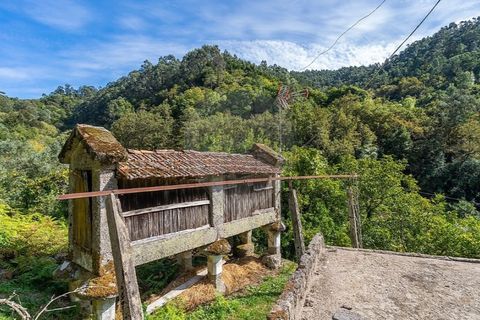 Villa i Celorico de Basto, Braga, Celorico de Basto - € 550.000 | Ref: 126971021-41 - foto 7