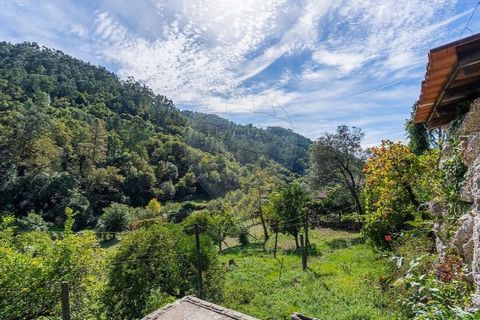 Villa i Celorico de Basto, Braga, Celorico de Basto - € 550.000 | Ref: 126971021-41 - foto 8