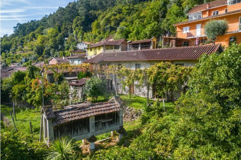 Villa i Celorico de Basto, Braga, Celorico de Basto - € 550.000 | Ref: 126971021-41 - foto 11