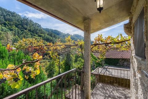 Villa i Celorico de Basto, Braga, Celorico de Basto - € 550.000 | Ref: 126971021-41 - foto 12