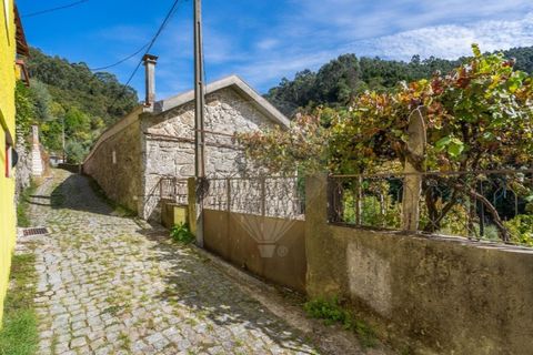Villa i Celorico de Basto, Braga, Celorico de Basto - € 550.000 | Ref: 126971021-41 - foto 14
