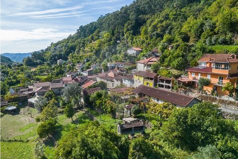 Villa i Celorico de Basto, Braga, Celorico de Basto - € 550.000 | Ref: 126971021-41 - foto 30