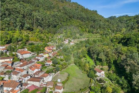 Villa i Celorico de Basto, Braga, Celorico de Basto - € 550.000 | Ref: 126971021-41 - foto 31