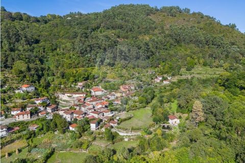 Villa i Celorico de Basto, Braga, Celorico de Basto - € 550.000 | Ref: 126971021-41 - foto 35