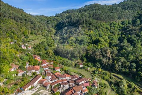 Villa i Celorico de Basto, Braga, Celorico de Basto - € 550.000 | Ref: 126971021-41 - foto 41