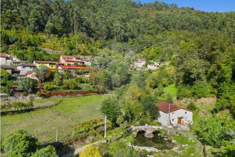 Villa i Celorico de Basto, Braga, Celorico de Basto - € 550.000 | Ref: 126971021-41 - foto 42