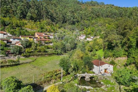 Villa i Celorico de Basto, Braga, Celorico de Basto - € 550.000 | Ref: 126971021-41 - foto 44