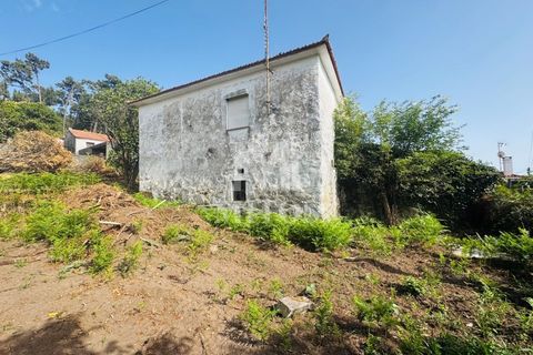 Terra a Areosa, Viana do Castelo, Areosa - € 335.000 | Ref: C557 - foto 2