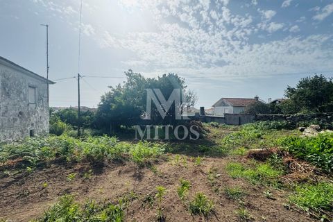 Terra a Areosa, Viana do Castelo, Areosa - € 335.000 | Ref: C557 - foto 3