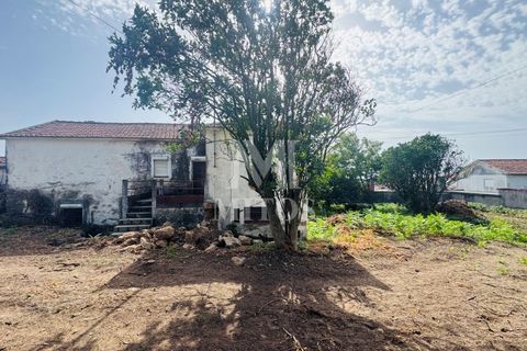 Terra a Areosa, Viana do Castelo, Areosa - € 335.000 | Ref: C557 - foto 4