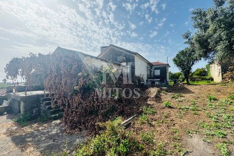 Terra a Areosa, Viana do Castelo, Areosa - € 335.000 | Ref: C557 - foto 5