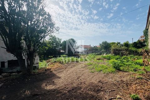 Terra a Areosa, Viana do Castelo, Areosa - € 335.000 | Ref: C557 - foto 6