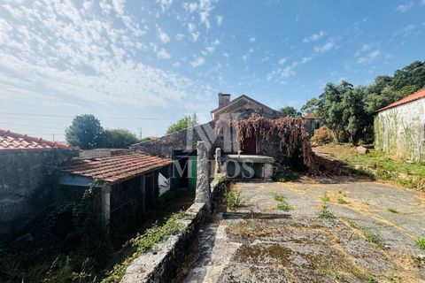 Terra a Areosa, Viana do Castelo, Areosa - € 335.000 | Ref: C557 - foto 7