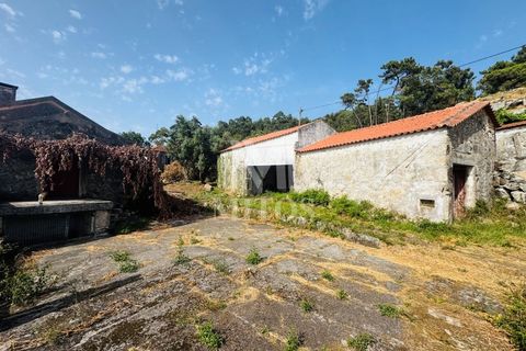 Terra a Areosa, Viana do Castelo, Areosa - € 335.000 | Ref: C557 - foto 8