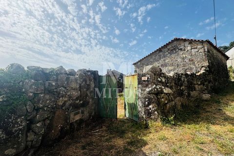 Terra a Areosa, Viana do Castelo, Areosa - € 335.000 | Ref: C557 - foto 11