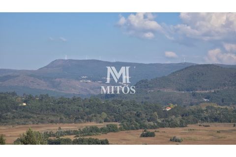 Villa i Caminha, Viana do Castelo, Caminha - € 480.000 | Ref: R1042 - foto 38