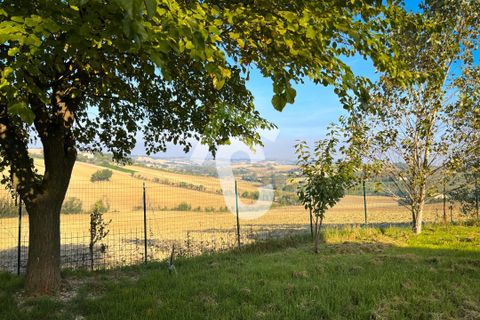 Villa i Montecarotto, Ancona, Montecarotto - € 259.000 | Ref: 3593 - foto 7