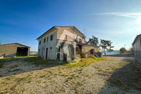 Villa i Montecarotto, Ancona, Montecarotto - € 259.000 | Ref: 3593 - foto 11