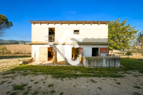 Villa i Montecarotto, Ancona, Montecarotto - € 259.000 | Ref: 3593 - foto 31