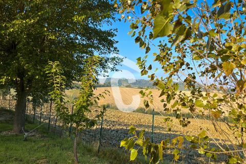 Villa i Montecarotto, Ancona, Montecarotto - € 259.000 | Ref: 3593 - foto 32