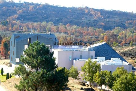 Tomt i Sabugal, Guarda, Sabugal - € 39 000 | Ref: 9861_T - foto 4