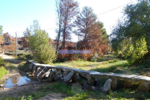 Tomt i Sabugal, Guarda, Sabugal - € 39 000 | Ref: 9861_T - foto 5
