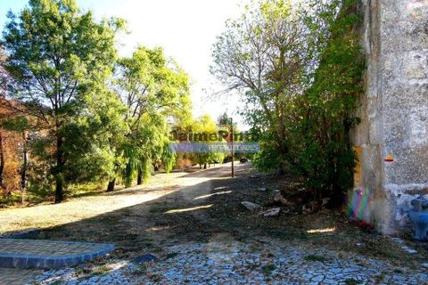 Tomt i Sabugal, Guarda, Sabugal - € 39 000 | Ref: 9861_T - foto 6