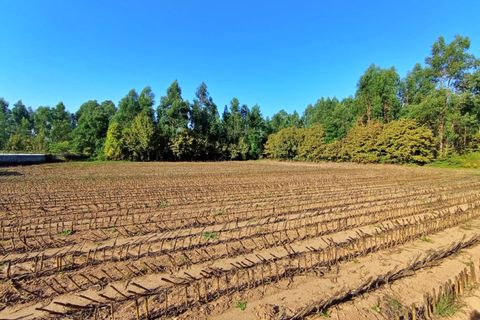 Helårsgrund i Valongo, Porto, Valongo - € 1.100.000 | Ref: RO2694 - foto 3