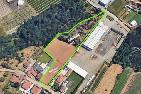 Helårsgrund i Valongo, Porto, Valongo - € 1.100.000 | Ref: RO2694 - foto 4
