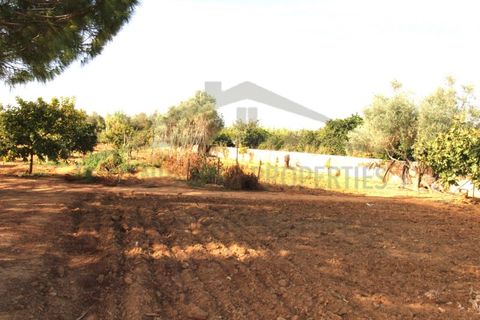 Helårsgrund i Moncarapacho, Faro, Moncarapacho - € 70.000 | Ref: SÒL582 - foto 2