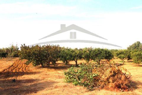 Helårsgrund i Moncarapacho, Faro, Moncarapacho - € 70.000 | Ref: SÒL582 - foto 4