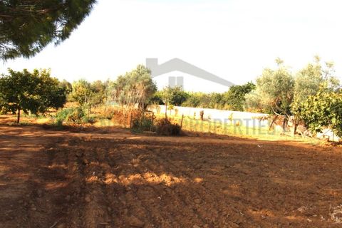 Helårsgrund i Moncarapacho, Faro, Moncarapacho - € 70.000 | Ref: SÒL582 - foto 5