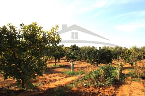 Helårsgrund i Moncarapacho, Faro, Moncarapacho - € 70.000 | Ref: SÒL582 - foto 3