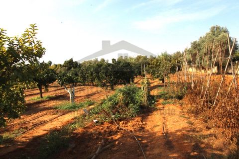 Helårsgrund i Moncarapacho, Faro, Moncarapacho - € 70.000 | Ref: SÒL582 - foto 6