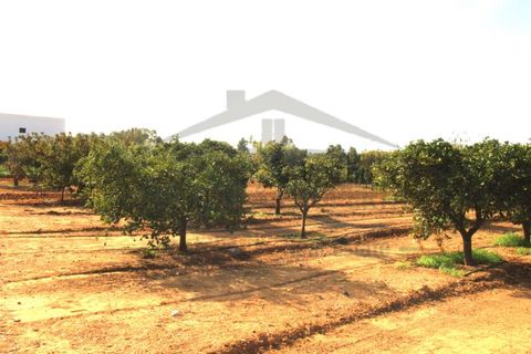 Helårsgrund i Moncarapacho, Faro, Moncarapacho - € 70.000 | Ref: SÒL582 - foto 7