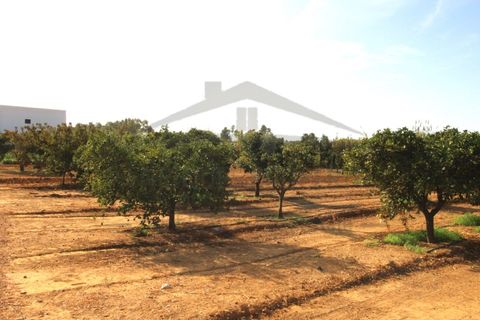 Helårsgrund i Moncarapacho, Faro, Moncarapacho - € 70.000 | Ref: SÒL582 - foto 8