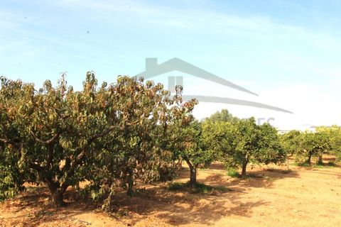Helårsgrund i Moncarapacho, Faro, Moncarapacho - € 70.000 | Ref: SÒL582 - foto 9