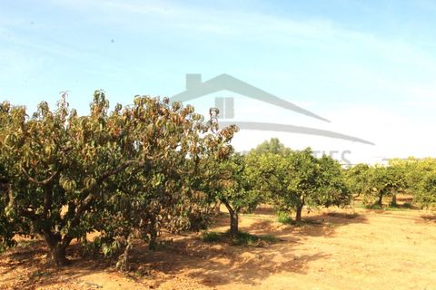 Helårsgrund i Moncarapacho, Faro, Moncarapacho - € 70.000 | Ref: SÒL582 - foto 10