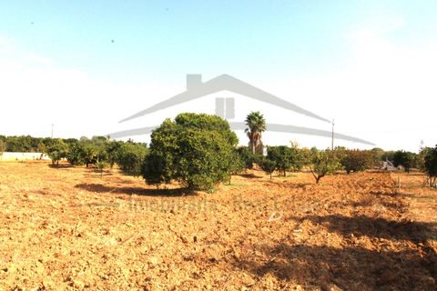 Helårsgrund i Moncarapacho, Faro, Moncarapacho - € 70.000 | Ref: SÒL582 - foto 11