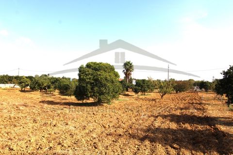 Helårsgrund i Moncarapacho, Faro, Moncarapacho - € 70.000 | Ref: SÒL582 - foto 12