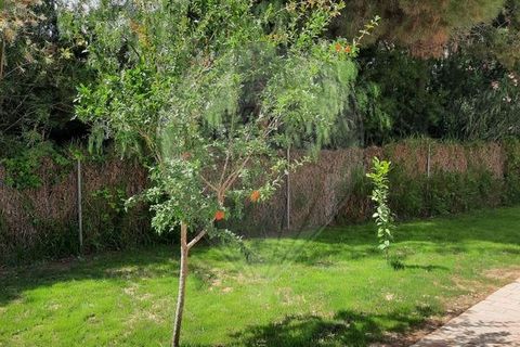 Villa a Loule, Faro, Loule - € 10.000/mes | Ref: 120141071-756 - foto 34