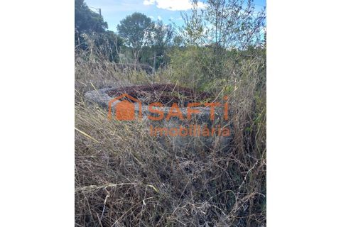 Helårsgrund i Tomar, Santarem, Tomar - € 28.000 | Ref: SAFTI:007334 - foto 5