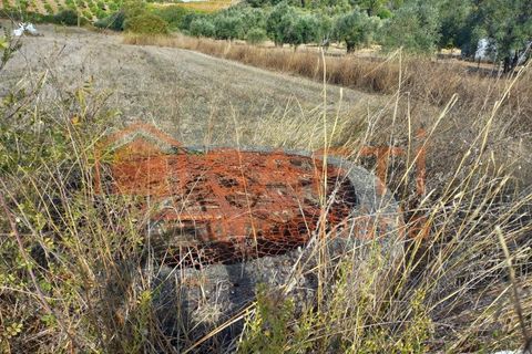 Helårsgrund i Tomar, Santarem, Tomar - € 28.000 | Ref: SAFTI:007334 - foto 6