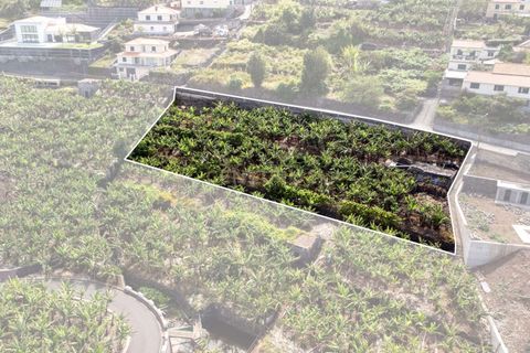 Helårsgrund i Calheta, Madeira, Calheta - € 350.000 | Ref: C0447-00186 - foto 4