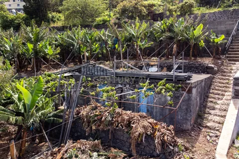 Helårsgrund i Calheta, Madeira, Calheta - € 350.000 | Ref: C0447-00186 - foto 5