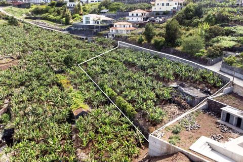 Helårsgrund i Calheta, Madeira, Calheta - € 350.000 | Ref: C0447-00186 - foto 9