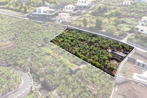 Helårsgrund i Calheta, Madeira, Calheta - € 350.000 | Ref: C0447-00186 - foto 11